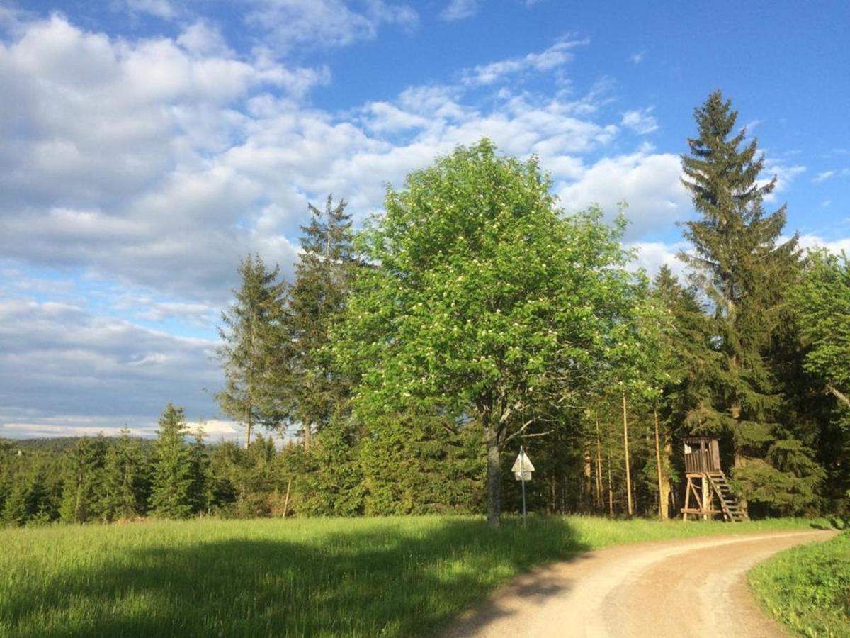 Ferienhaus Juster Im Wald Gutenbrunn 外观 照片